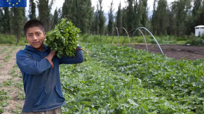 Comprendre les liens entre inégalités, mobilité sociale et perceptions 