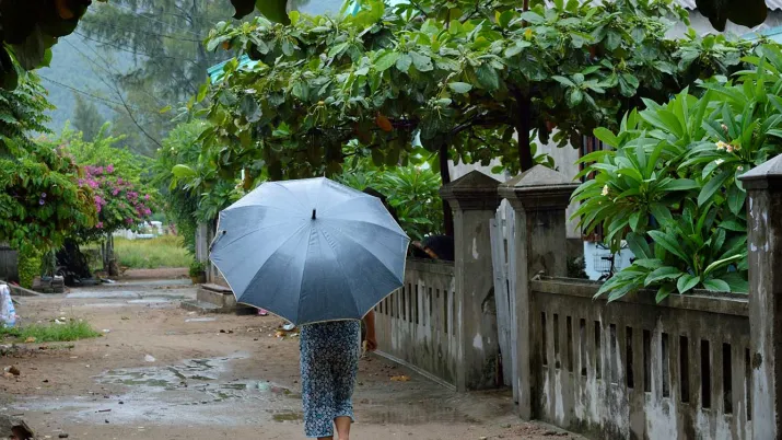 Analyse des impacts socio-économiques du changement climatique au Vietnam et des stratégies d’adaptation à moyen et long terme