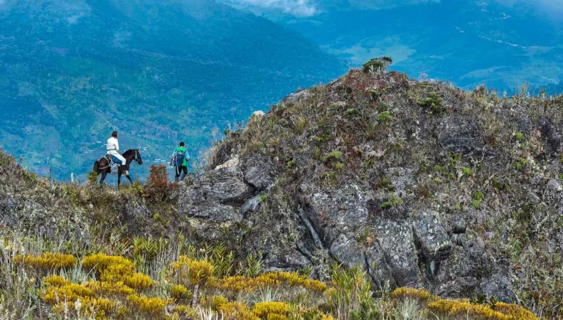 AFD and the European Union reinvest in the Critical Ecosystem Partnership Fund