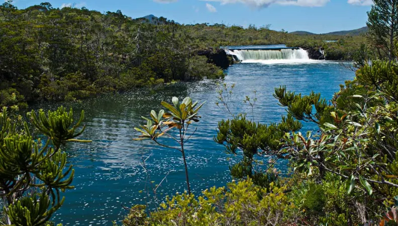 Résultats 2019 de l'AFD en Nouvelle-Calédonie