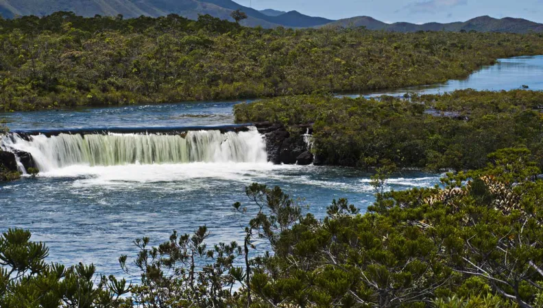 One Planet Summit 2021 : engagements AFD biodiversité