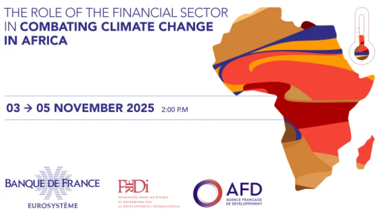 International conference BDF-AFD-FERDI